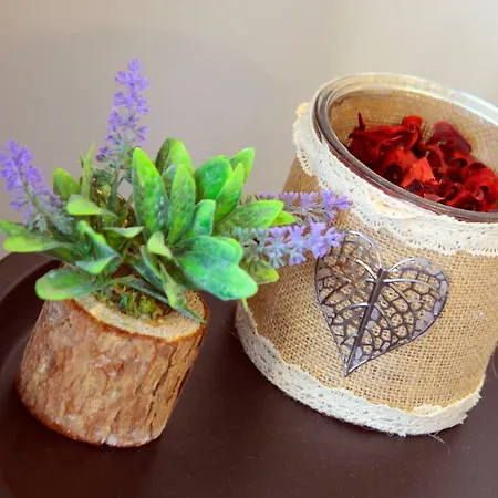 Lejlighed Alexandre Herculano I Ii&iii Porto